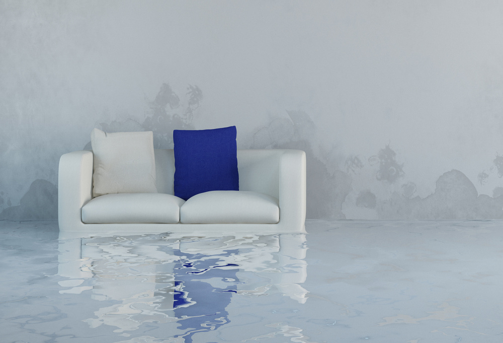 Wasserschaden mit Schimmel an Wand mobil
